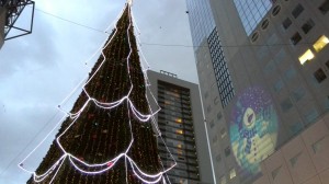 IMG_20131215_165909[1]